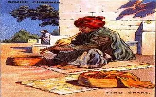 بازی فکری: این آزمون صد ساله اگه تو 6 ثانیه حلش کنی هاروارد قبولی رو شاخته!