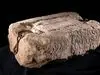 رونمایی از سنگ سرنوشت ۸۰۰ ساله | رمز و راز سنگ سرنوشت لو رفت
