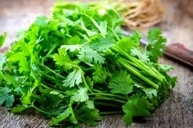  این گیاه اشتها آور برای بواسیر بادی و خونی و سنگ کلیه مفید است 