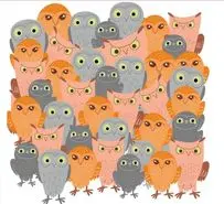 بازی فکری : اگه تو تیزبینی زدی رو دست هر چی خلبانه گربه رو بین جغدا تو 5 ثانیه پیدا کن!