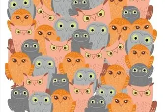 بازی فکری : اگه تو تیزبینی زدی رو دست هر چی خلبانه گربه رو بین جغدا تو 5 ثانیه پیدا کن!