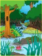 بازی فکری : فقط بچه زرنگا می تونن تو 4 ثانیه مرغ ماهی خوار و پیدا کنن!