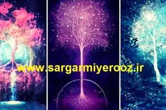 با انتخاب یک درخت دریابید چه احساسی بر شما غالب است
