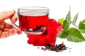 این چای سرشار از آنتی اکسیدان است و چربی خون، فشار خون را تنظیم، کبد چرب را درمان می کند