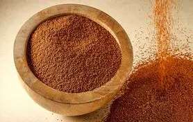 از بین بردن یبوست صبحگاهی با این دانه خوشمزه | این دانه ها قاتل یبوست صبح گاهی است