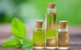 مصرف این روغن در ناشتای صبح مشکلات پوستی و جوش های سر سیاه و خارش را از بین می برد + رفع سردرد

