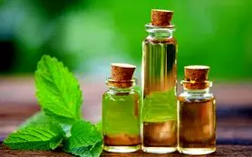 مصرف این روغن در ناشتای صبح مشکلات پوستی و جوش های سر سیاه و خارش را از بین می برد + رفع سردرد


