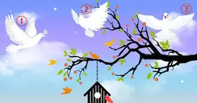 تست شخصیت شناسی : با انتخاب یک کبوتر پیام امروز کائنات را دریافت کنید