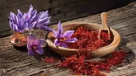  این گیاه که تو خونه هر ایرانی پیدا میشه از پوکی استخوان جلوگیری می کند 