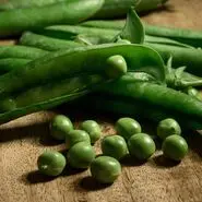 این دانه سبز سرشار از فیبر و پروتئین و کاهنده قندخون است | پاکسازی عروق قلبی با این دانه