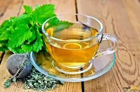  خاصیت گیاه مورد علاقه ابوعلی سینا برای قلب و معده و کبد