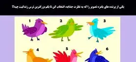 تست روانشناسی با پرنده رنگی | یک پرنده انتخاب کن تا بهت مشاوره رایگان روانشناسی بدم