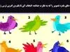 تست روانشناسی با پرنده رنگی | یک پرنده انتخاب کن تا بهت مشاوره رایگان روانشناسی بدم