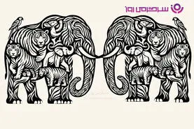 بازی فکری | فقط ۱۵ ثانیه فرصت داری؛ چند حیوان در این تصویر پنهان شده‌اند؟