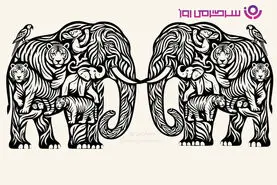 بازی فکری | فقط ۱۵ ثانیه فرصت داری؛ چند حیوان در این تصویر پنهان شده‌اند؟