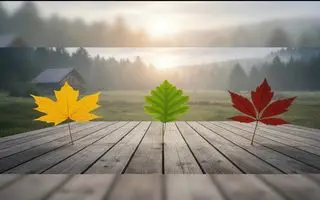 تست شخصیت شناسی : با انتخاب یک برگ ویژگی شخصیتی تان را بهتر بشناسید!