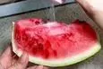اضافه کردن نمک به هندوانه پیشنهاد محققان برای روزها گرم و آفتابی