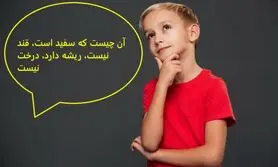 چیستان سخت | آن چیست که سفید است قند نیست ریشه دارد درخت نیست؟