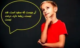 چیستان سخت | آن چیست که سفید است قند نیست ریشه دارد درخت نیست؟