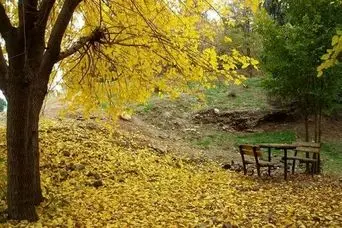 سفری لذت بخش به زیباترین روستای نزدیک تهران در پاییز؛ روستای باغگل در یک ساعتی تهران