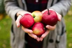پیشنهاد طلایی ابن سینا برای مصرف این میوه ارزان قیمت بصورت ناشتا در فصل بهار