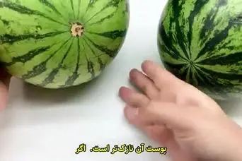 با یادگیری این ترفند دیگه هندونه سفید نمی خرید |  انتخاب هندوانه قرمز و شیرین برای شب یلدا