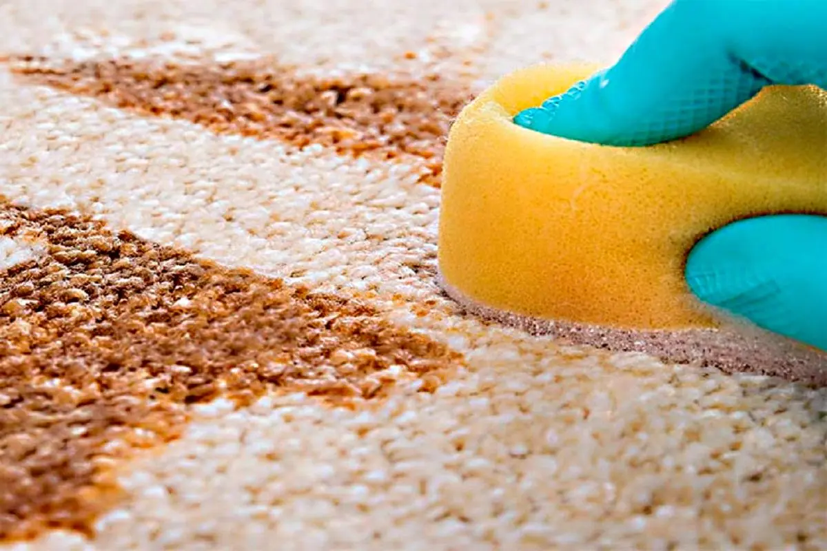 با مواد طبیعی و خانگی سر سخت ترین لکه های فرش رو پاک کن | بهترین روش بدون مواد شیمیایی برای تمیز کردن فرش