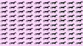 بازی فکری :  99٪ افراد در حل این معمای ضریب هوشی شکست خوردند!چند اسب سه پا می بینید؟