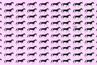 بازی فکری :  99٪ افراد در حل این معمای ضریب هوشی شکست خوردند!چند اسب سه پا می بینید؟