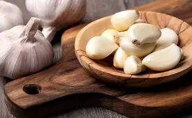 سیر این بدبوی پرخاصیت برای این افراد مثل سم می مونه | این افراد نزدیک سیر هم نشوند