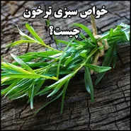  این سبزی منبع بسیار خوبی از آهن، کلسیم و منگنز است | استحکام استخوان، دندان، حفظ سلامت قلب و کاهش درد قاعدگی با این سبزی همه چی تموم