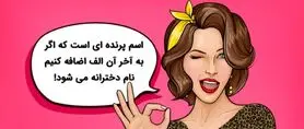 معمای حدس اسم سخت | اسم پرنده ای است که اگر به آخر آن الف اضافه کنیم نام دخترانه می شود!