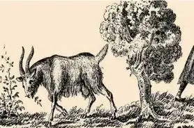 بازی فکری : مغزتو از آلزایمر نجات بده و چهره زن مخفی رو تو 5 ثانیه پیدا کن!