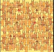 بازی فکری : نابغههای واقعی اینجایند! موش مخفی را در ۵ ثانیه پیدا کنید!