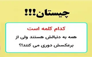 چیستان روز: کدام کلمه است که همه به دنبالش هستند ولی از برعکسش دوری می کنند!؟