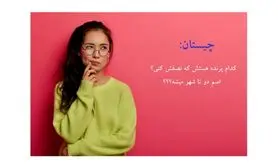 چیستان آسان | کدام پرنده هست که نصفش کنی اسم دو تا شهر میشه؟