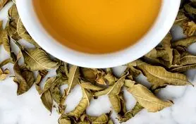  این چای آرام بخش و تسکین دهنده ی اعصاب 