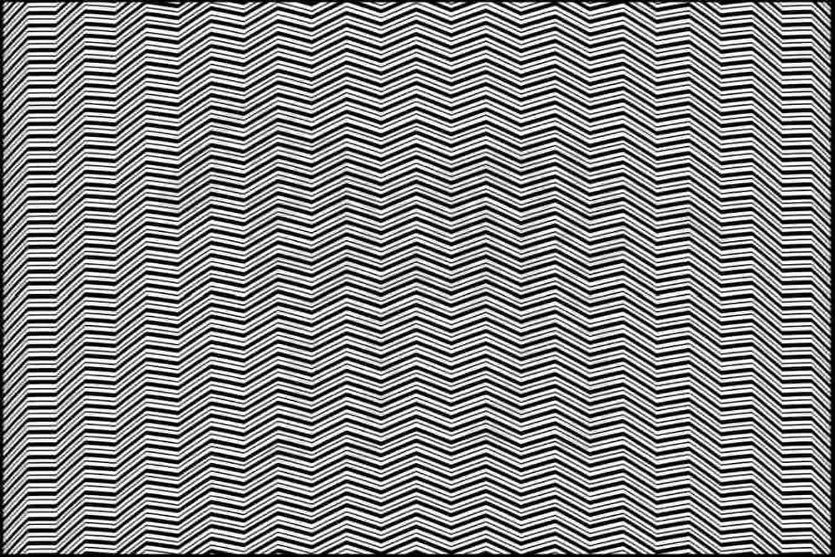 بازی فکری : اگر مغز فوق‌العاده‌ای داریدحیوان مخفی را پیدا کنید |  ۹۸٪ مردم نمی‌توانند شما چطور؟