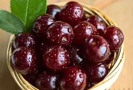 میخوای استخونت محکمتر آهن و فولاد بشه کلیک کن تا بگم کدوم خوراکی رو مصرف کنی