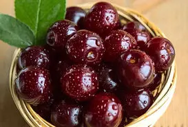 میخوای استخونت محکمتر آهن و فولاد بشه کلیک کن تا بگم کدوم خوراکی رو مصرف کنی