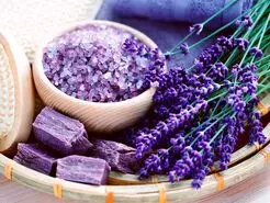 گیاهی که گنجینه‌ای از خواص درمانی است