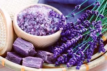 گیاهی که گنجینه‌ای از خواص درمانی است