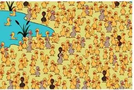 بازی فکری؛ اگه تک تک سلولات سرشار از هوشه درنگ نکن جوجه اردک زشت رو تو 7 ثانیه پیدا کن!