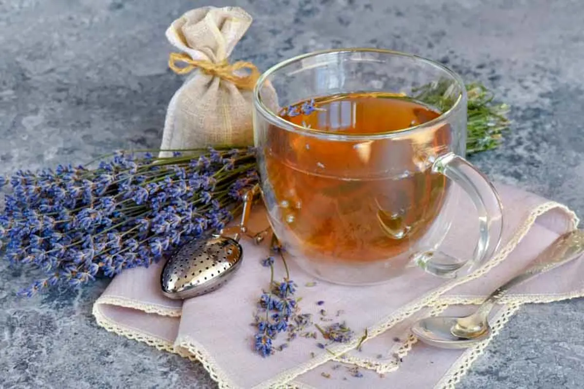 دمنوش اسطوخودوس برای چی خوبه؟ /  از بهبد گردش خون تا تنبلی تخمدان​