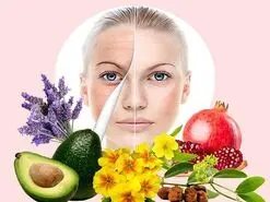  اکسیر ضد پیری و جوان ماندن تا 100 سالگی در این میوه است / ناشتا مصرف کنید 