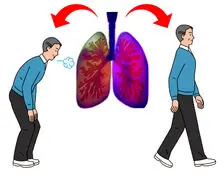  این سبزی ها یک ریه صفر به شما تحویل می دهند 