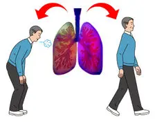  این سبزی ها یک ریه صفر به شما تحویل می دهند 