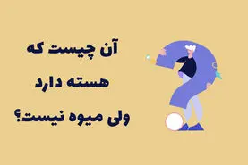 چیستان روز | آن چیست که هسته دارد ولی میوه نیست؟