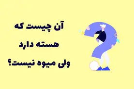 چیستان روز | آن چیست که هسته دارد ولی میوه نیست؟