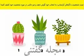 تست شخصیت شناسی | یکی از گلدونارو انتخاب کن تابگم عشقت چقدر تنبل و به درد نخوره
